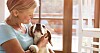 Din hund älskar dig, men den bryr sig faktiskt inte om hur du pratar med den. Foto: Istock
