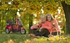 Montage: Bigstockphoto, Skand