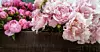 Foto: Istock