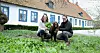Malena och Magnus bor i en gammal prästgård med anor från 1100-talet. I trädgården frodas ramslöken. Hunden heter Samson. Foto: Stefan Sandström