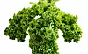 Grönkål Foto: Istock