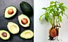 Foto: iStock