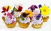 Blommorna i din trädgård som du kan äta. Foto: Bigstock