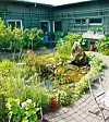Terapiträdgården på Umeå universitet består av en innedel och en utedel, för att verksamhet ska kunna bedrivas året om.Foto: Patrick Trägårdh
