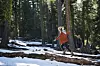 Det finns många enkla övningar du kan göra i vardagen. Ta en promenad i skogen och bege dig utanför stigen!