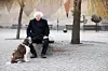 Hunden Stina är en ständig följeslagare till Göran. Foto: Peter Jönsson