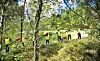 Missing People ordnade skallgång i området Stenungsön och Källön utanför Stenungsund för att försöka hitta försvunne Jacob Thorén från Göteborg. Foto: Scanpix
