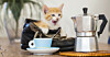 Foto: Istock