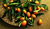Kumquat är citrusfrukten som du kan sluka hel. Den är laddad med såväl kalium som vitamin A och C. Foto: Getty Images