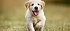 Foto: Istock