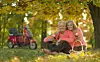 Montage: Bigstockphoto, Skand