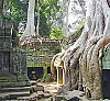 Angor Wat, Kambodja.