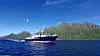 Passagerarbåt kör genom blå fjord med gröna berg i bakgrunden och måsar i luften.